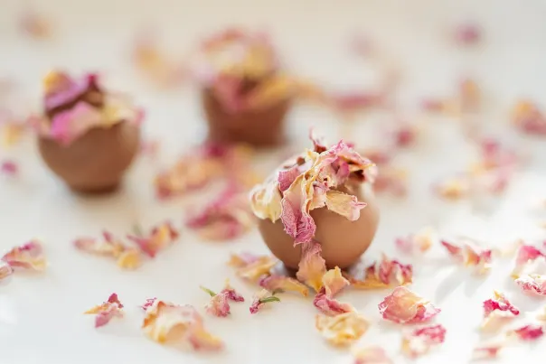 JokerBet Casino Aplikacja Android/iOS